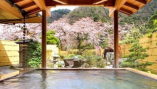 エイトコーポレーション社長のブログ-懇親旅行１