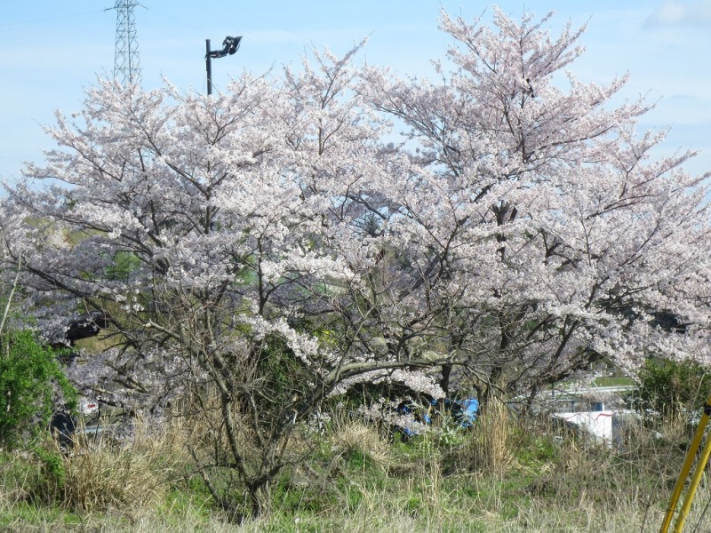 お墓参り　行ってきました