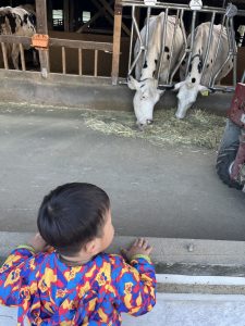 おう祝日や